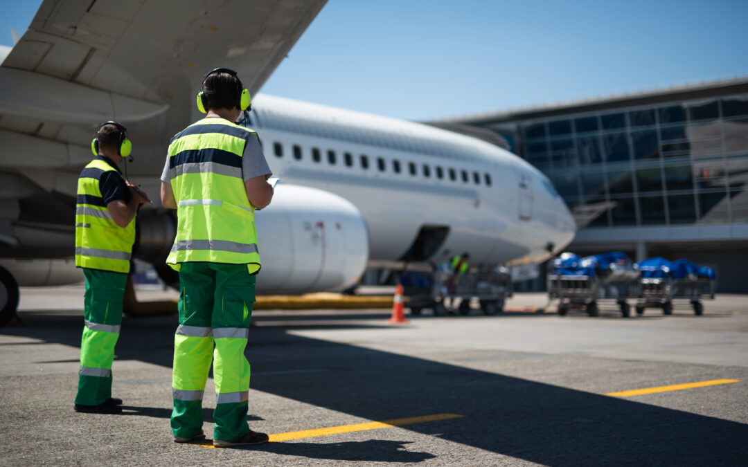 aviation human factors expert witness